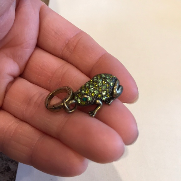 Fossil Frog charm - Picture 4 of 5